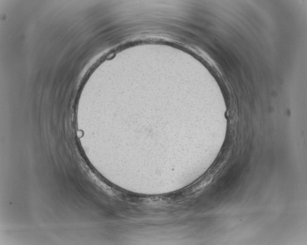 X0000069390799200606091715