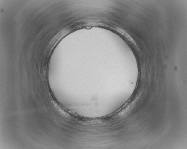 X0000069390801200606091715