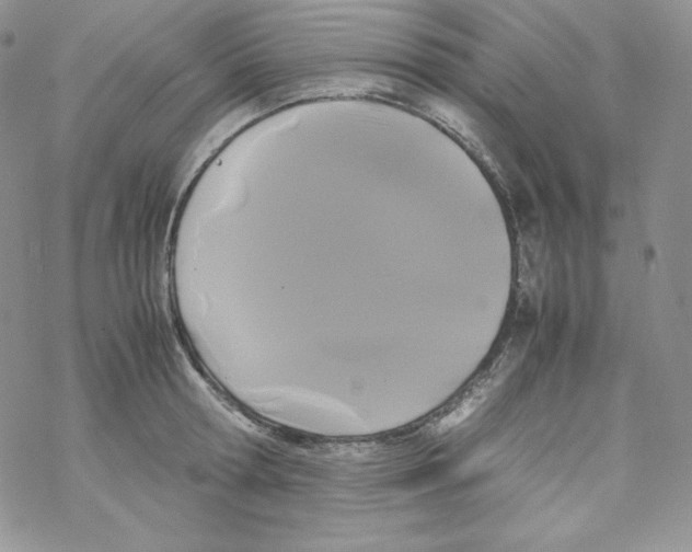 X0000069390802200606091715