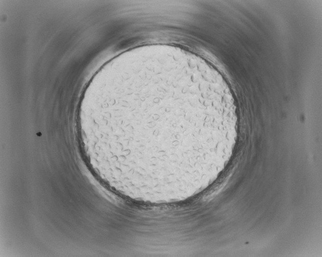 X0000069390803200606091715