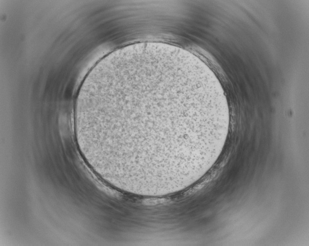 X0000069390804200606091715