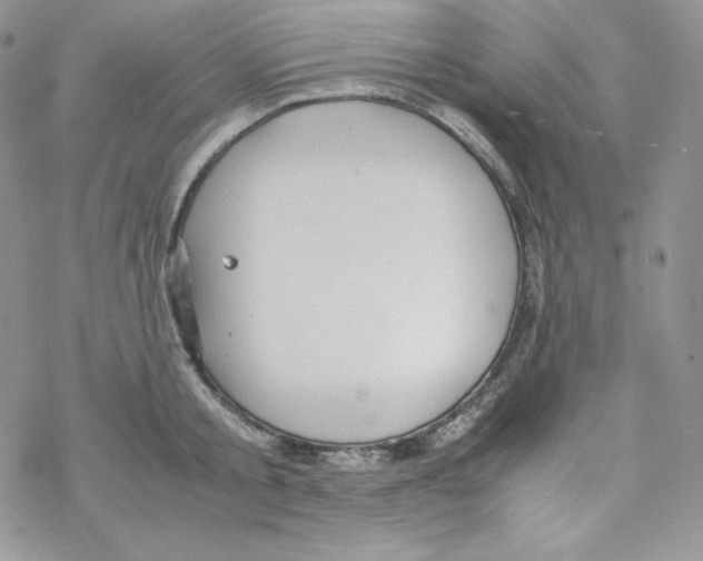 X0000069390805200606091715