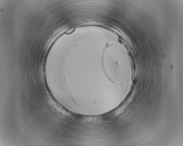 X0000069390806200606091715