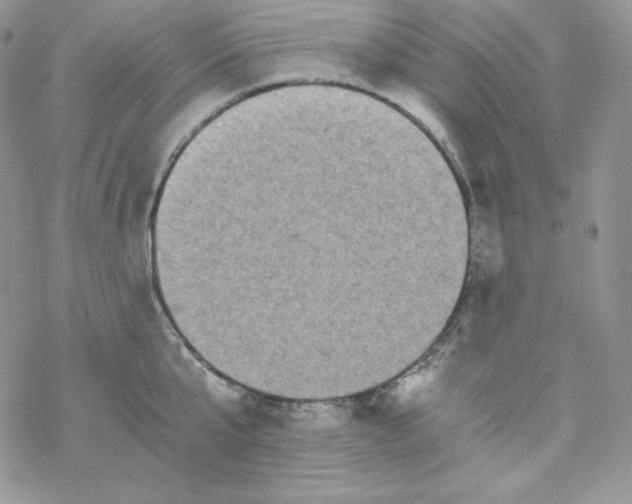 X0000069390807200606091715