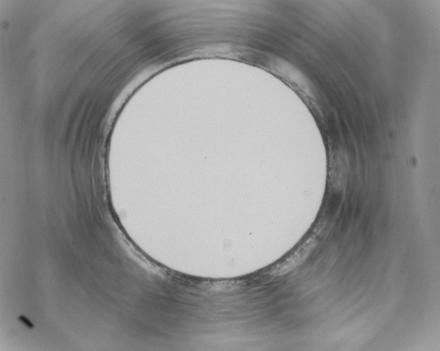 X0000069390808200606091715