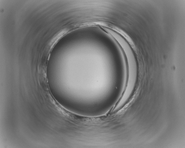 X0000069390809200606091715