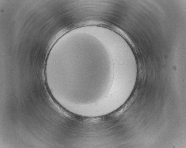 X0000069390810200606091715