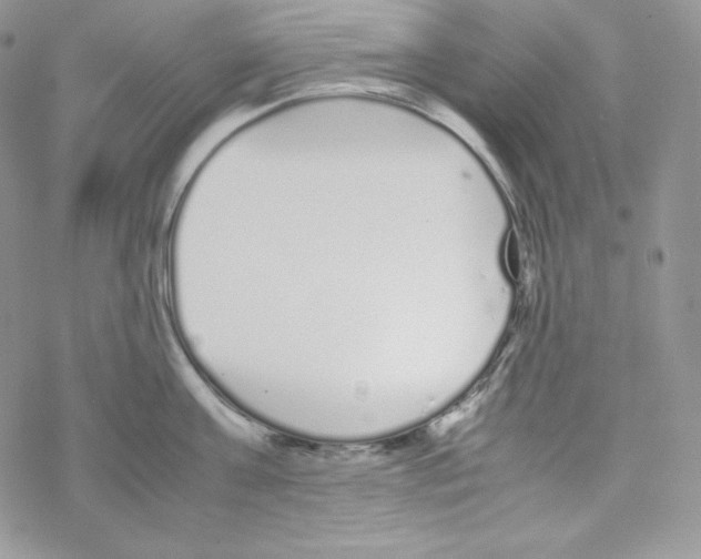 X0000069390811200606091715