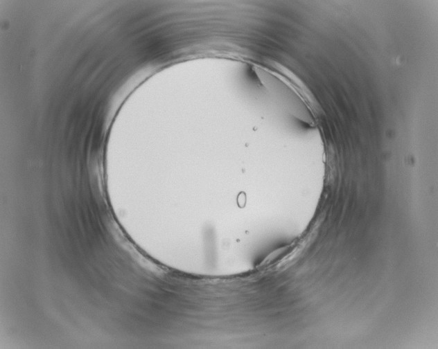 X0000069390812200606091715