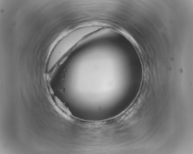 X0000069390813200606091715