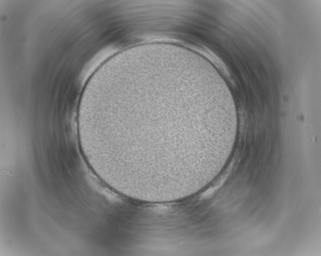 X0000069390814200606091715