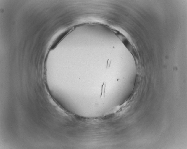 X0000069390815200606091715