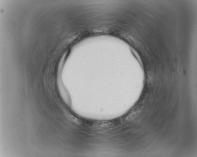 X0000069390817200606091714