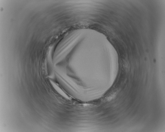 X0000069390818200606091714