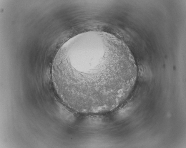 X0000069390820200606091714