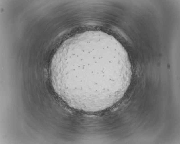 X0000069390821200606091714