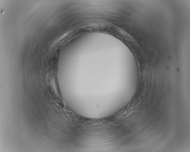 X0000069390822200606091714