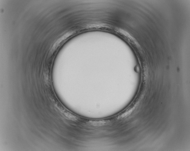 X0000069390825200606091714