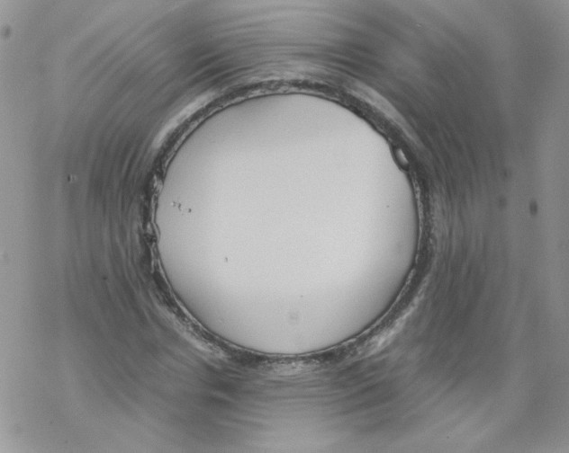 X0000069390826200606091714