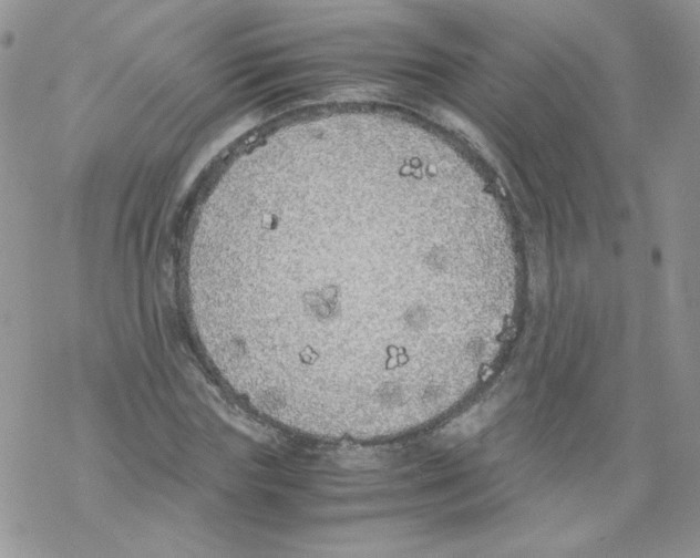 X0000069390827200606091714