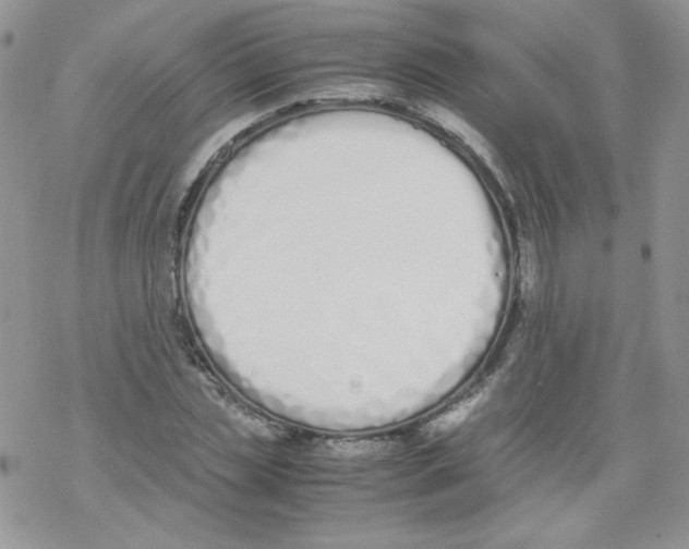 X0000069390829200606091714