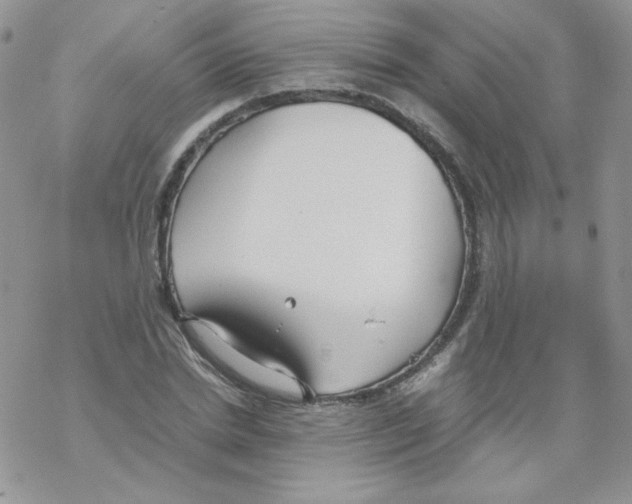 X0000069390830200606091714