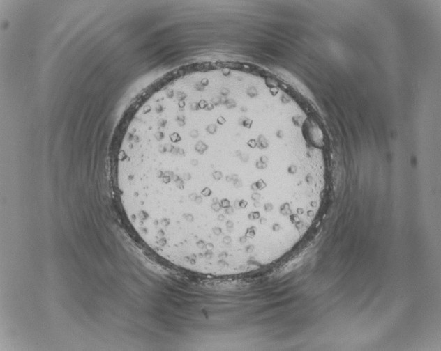 X0000069390831200606091714