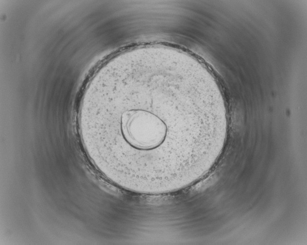 X0000069390832200606091714