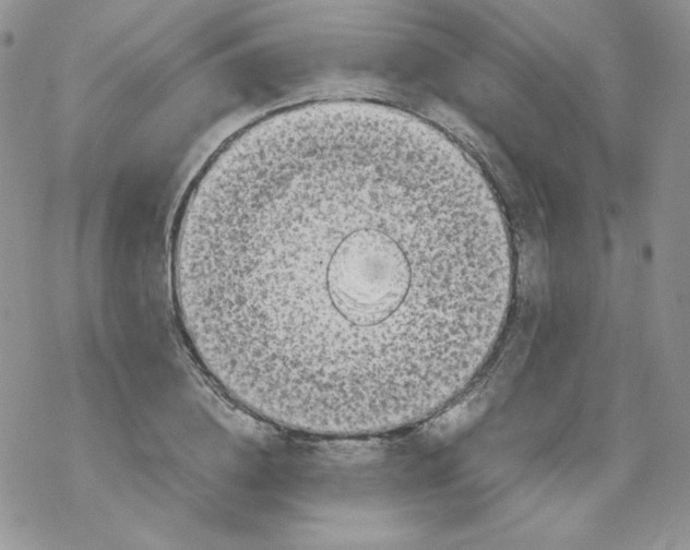 X0000069390836200606091714