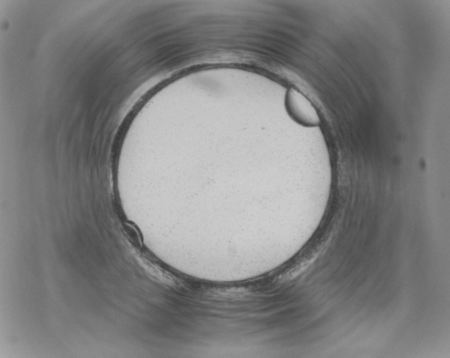 X0000069390837200606091714