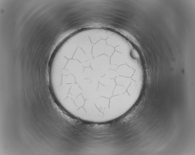 X0000069390839200606091714