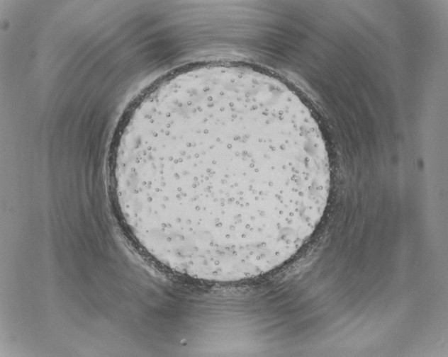 X0000069390840200606091714