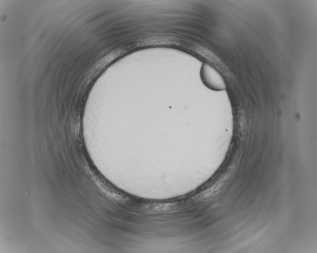 X0000069390841200606091714