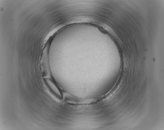 X0000069390842200606091714