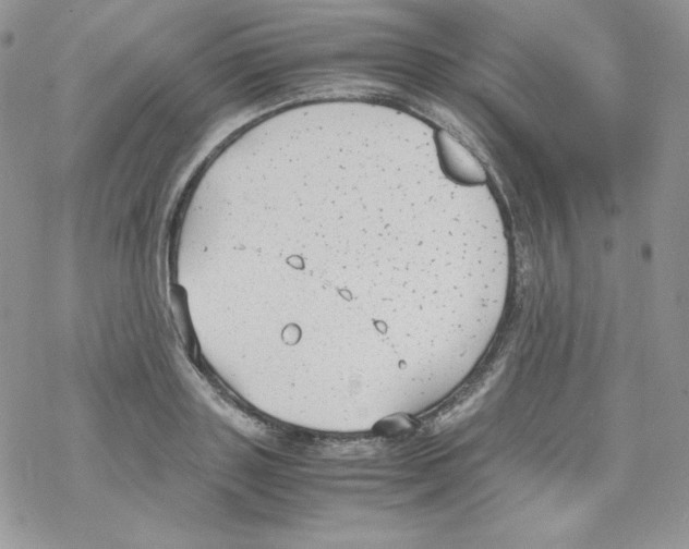 X0000069390843200606091714