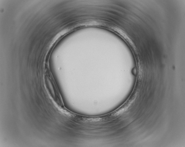 X0000069390845200606091714