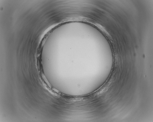 X0000069390846200606091715