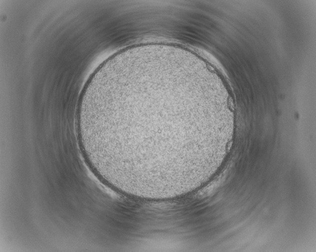 X0000069390847200606091715