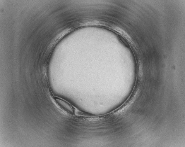 X0000069390849200606091715