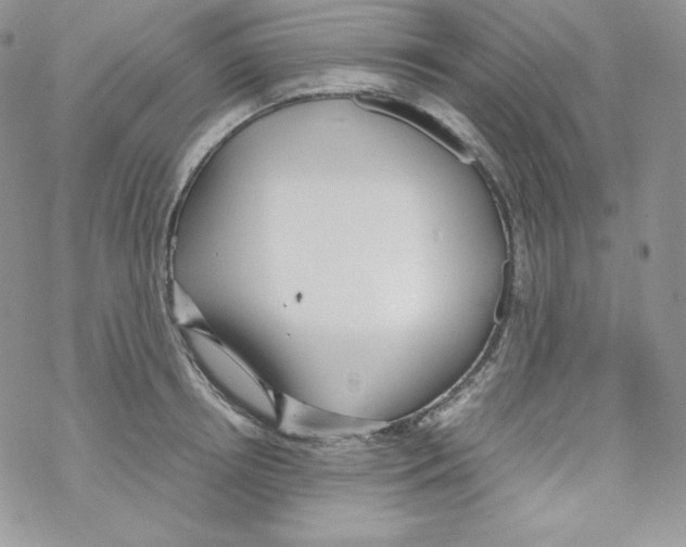 X0000069390850200606091715