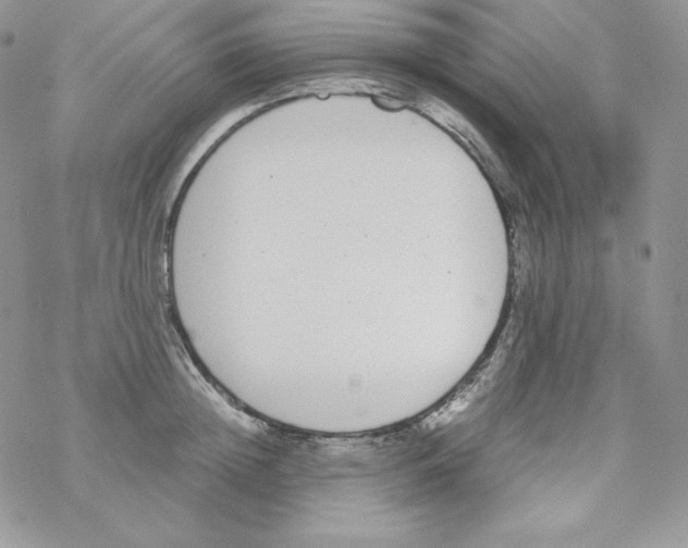 X0000069390852200606091715