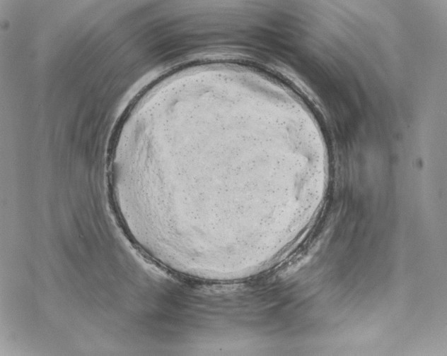 X0000069390853200606091715