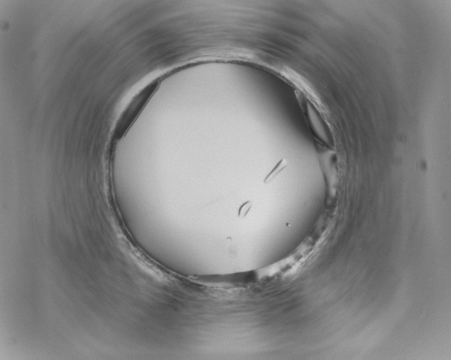 X0000069390854200606091715