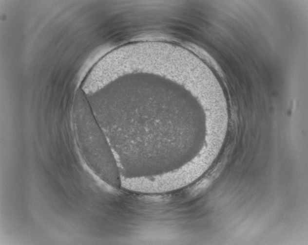 X0000069390855200606091715