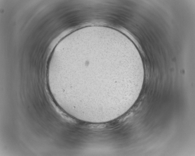 X0000069390861200606091715