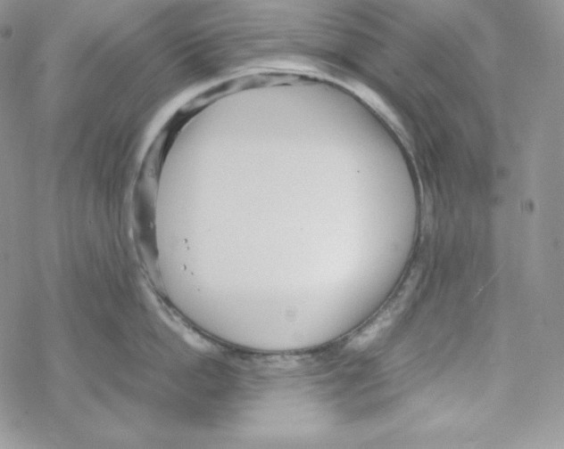 X0000069390862200606091715