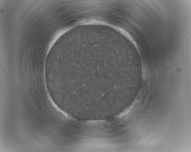 X0000069390863200606091715