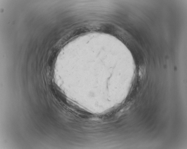 X0000069390867200606091714