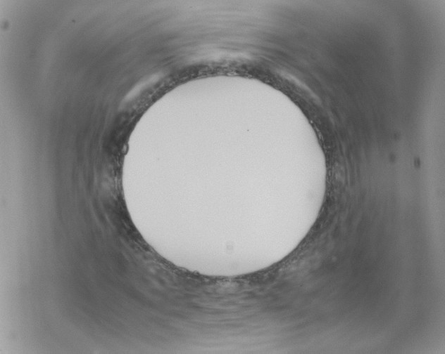 X0000069390869200606091714