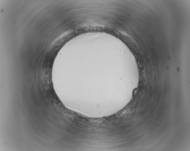 X0000069390870200606091714